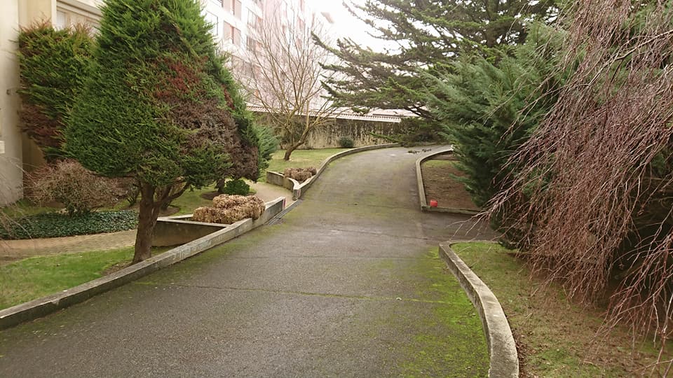 Aménagement de cours et d'allées